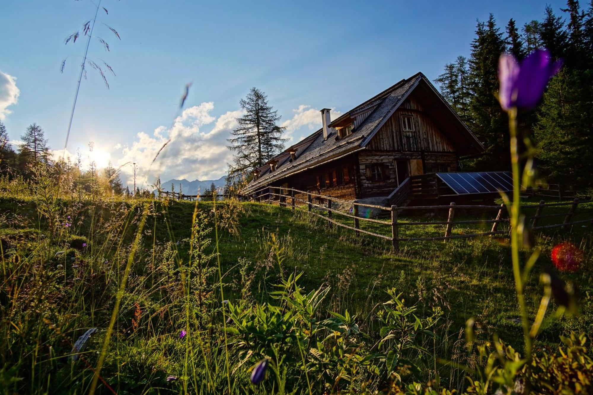Hotel Steffner-Wallner Mauterndorf  Exterior foto